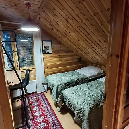 Villa-hanhi * Rovaniemi